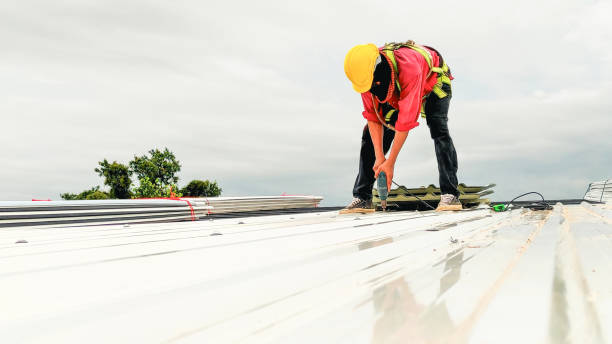 Best Sheet Metal Roofing  in Elm Springs, AR